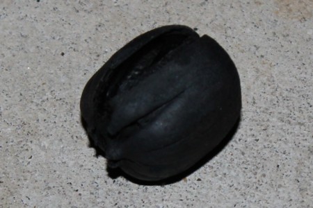 Burnt acorn