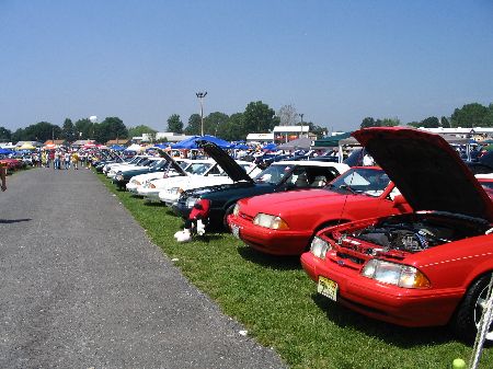 8 cars lined up