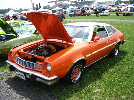 Orange Pinto