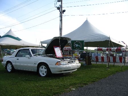 Tent with Banner