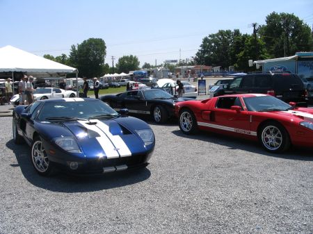 Ford GTs