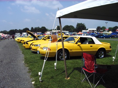 Yellow Mustang Registry