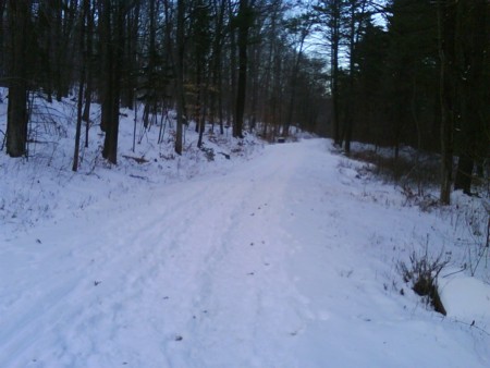 Snowy Running Trail